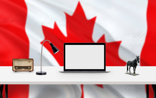 ecommerce website design company canada